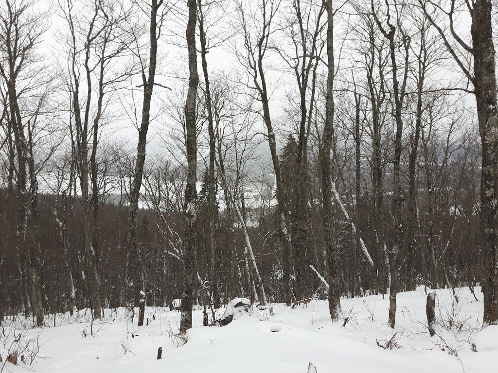 La Chouette Refuge at Mont-Sourire | Saint-Donat-de-Montcalm, QC J0T 2C0, Canada | Phone: (819) 424-2833