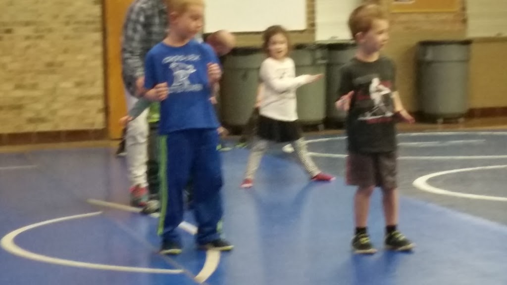 Croswell-Lexington Middle School | 5485 Peck Rd, Croswell, MI 48422, USA | Phone: (810) 679-1400