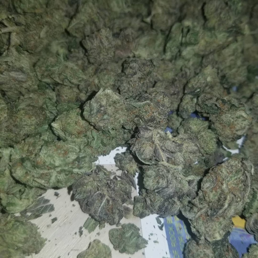 Captian kush | 11709 91 St NW, Edmonton, AB T5B 4B2, Canada | Phone: (780) 566-2920