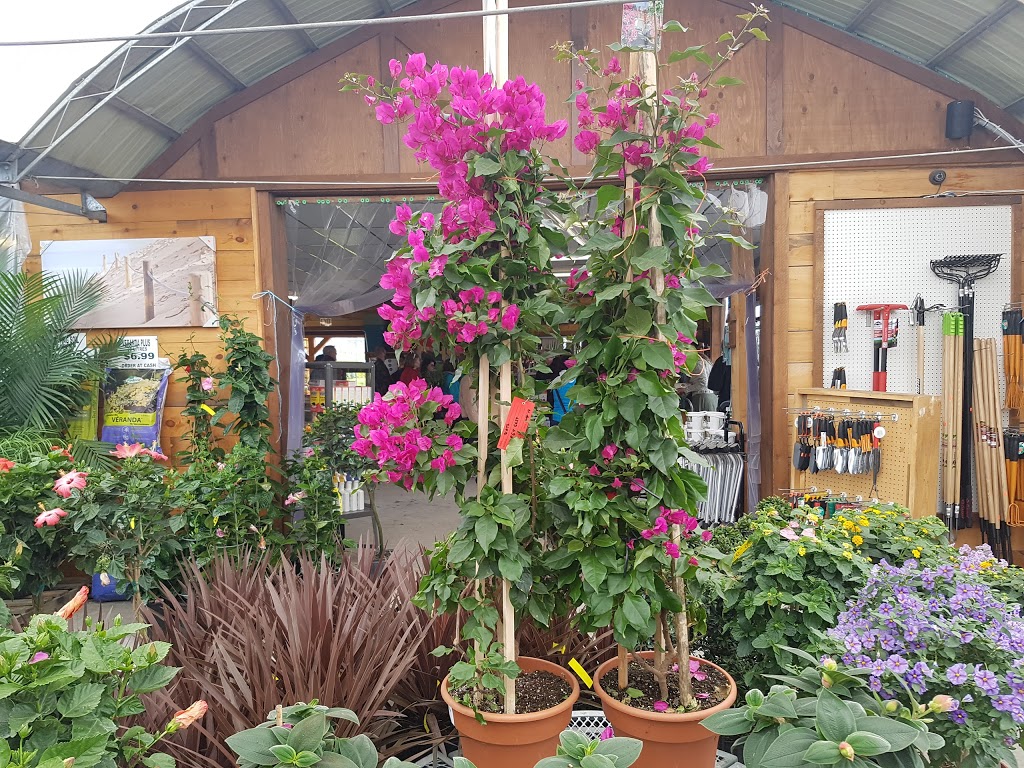 J.A. Laporte Flowers & Nursery | 455 Famille-Laporte Ave, Orléans, ON K4A 0Y7, Canada | Phone: (613) 833-2316