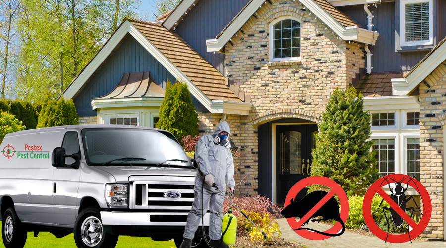 Pest Exterminators Hamilton | Hamilton, ON L8H 7P8, Canada | Phone: (289) 799-3140