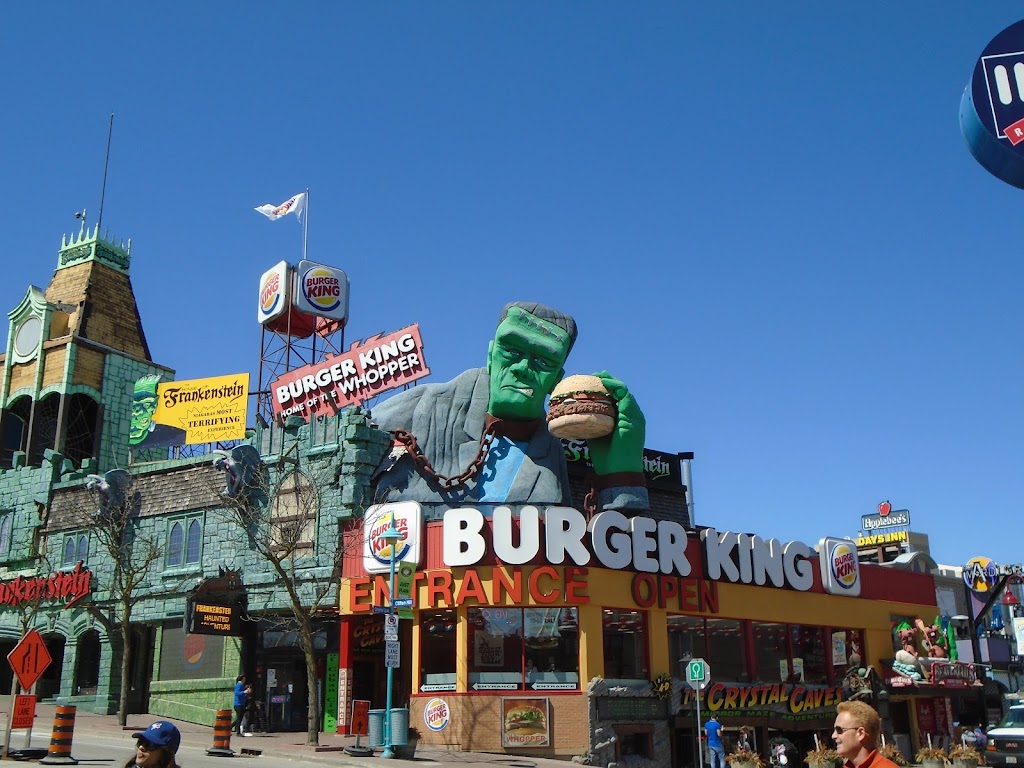 Burger King | 6380 Fallsview Blvd Unit #8, Niagara Falls, ON L2G 7Y6, Canada | Phone: (866) 394-2493