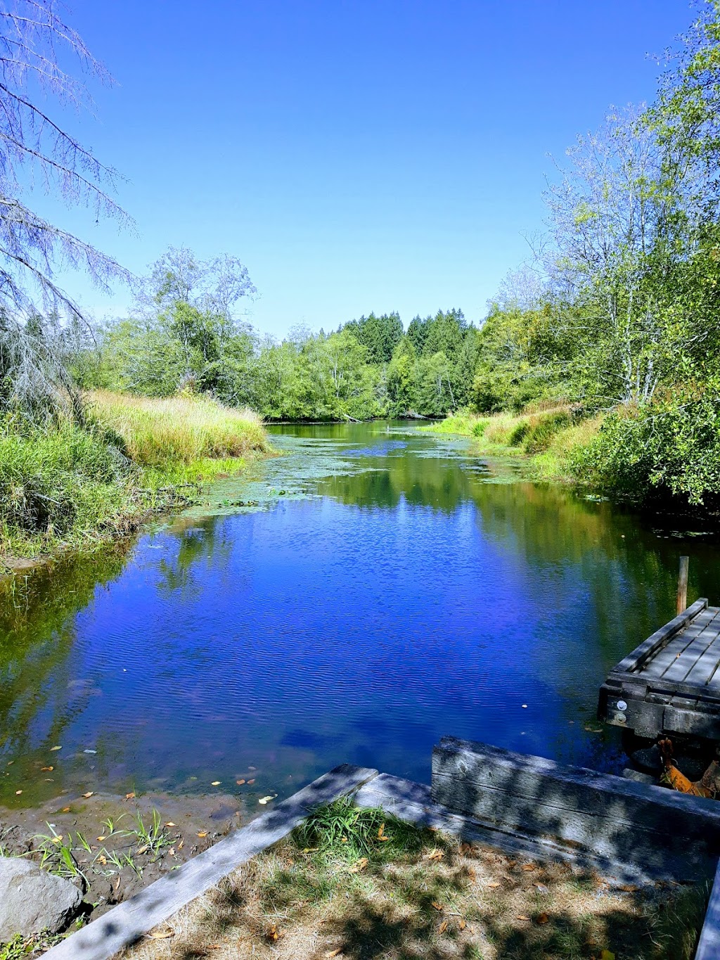 Campbell Valley Regional Park | 20290 16 Ave, Langley City, BC V2Z 1W5, Canada | Phone: (604) 530-4983