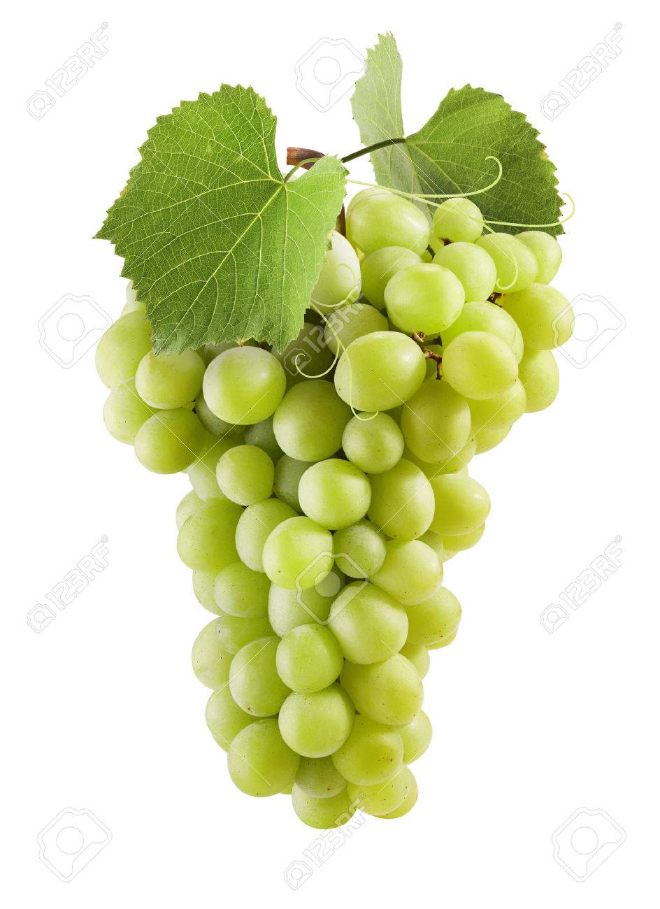 Esperia Grape Juice Ltd | 753 Warden Ave, Scarborough, ON M1L 4B2, Canada | Phone: (416) 752-9153