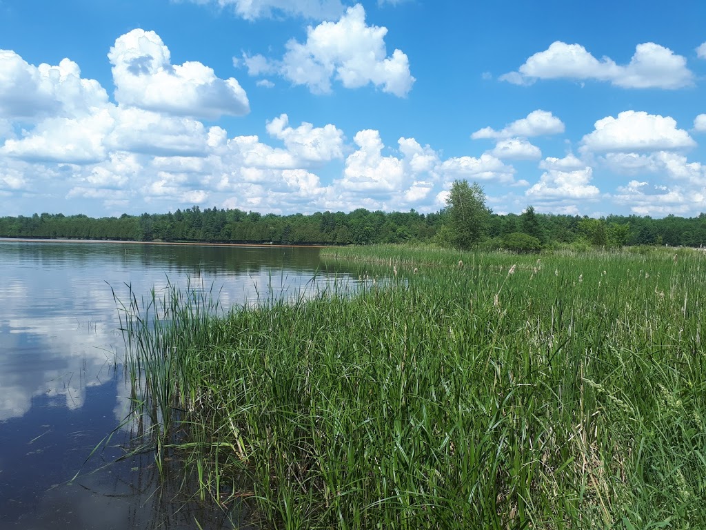 Voyageur Provincial Park | 1313 Front Rd, Chute-à-Blondeau, ON K0B 1B0, Canada | Phone: (613) 674-2825