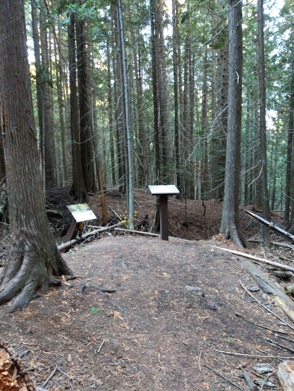 Angel Springs Trailhead | Kelowna, BC V0H 1N0, Canada