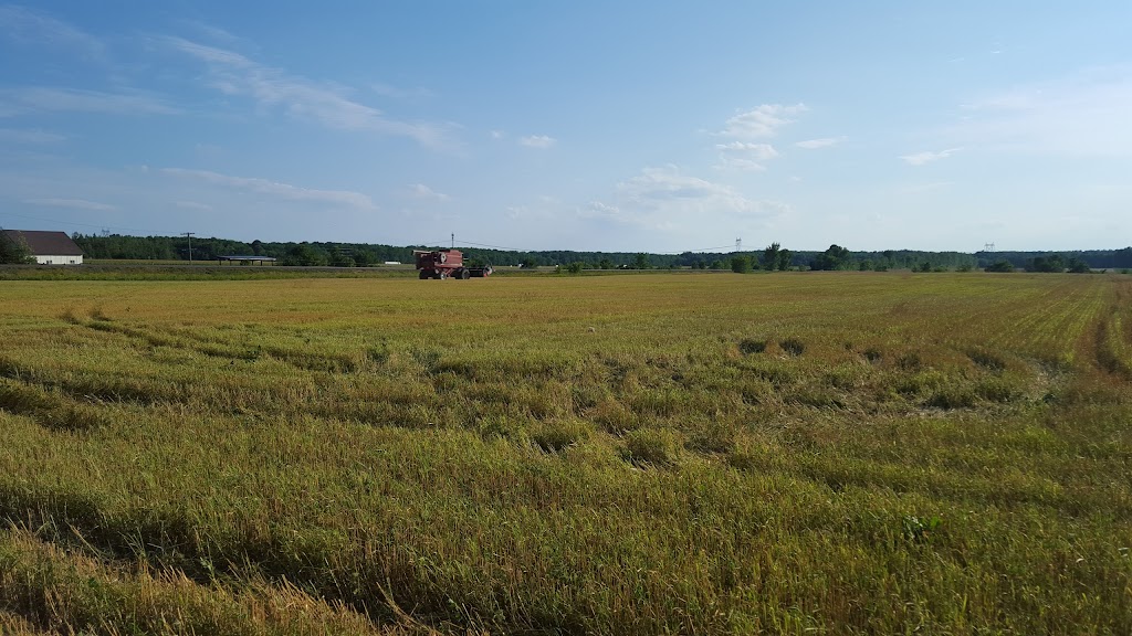 Fermes Longpres Ltee | 1854 Chem. du Fleuve, Les Cèdres, QC J7T 1E4, Canada | Phone: (450) 452-4559
