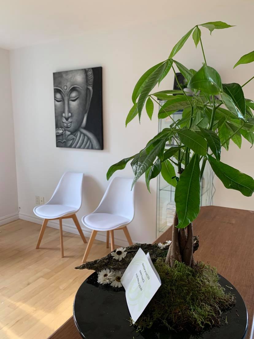 Urbania Chiropratique Chambly | 1969 Bd de Périgny Suite 102, Chambly, QC J3L 4C3, Canada | Phone: (514) 247-3336