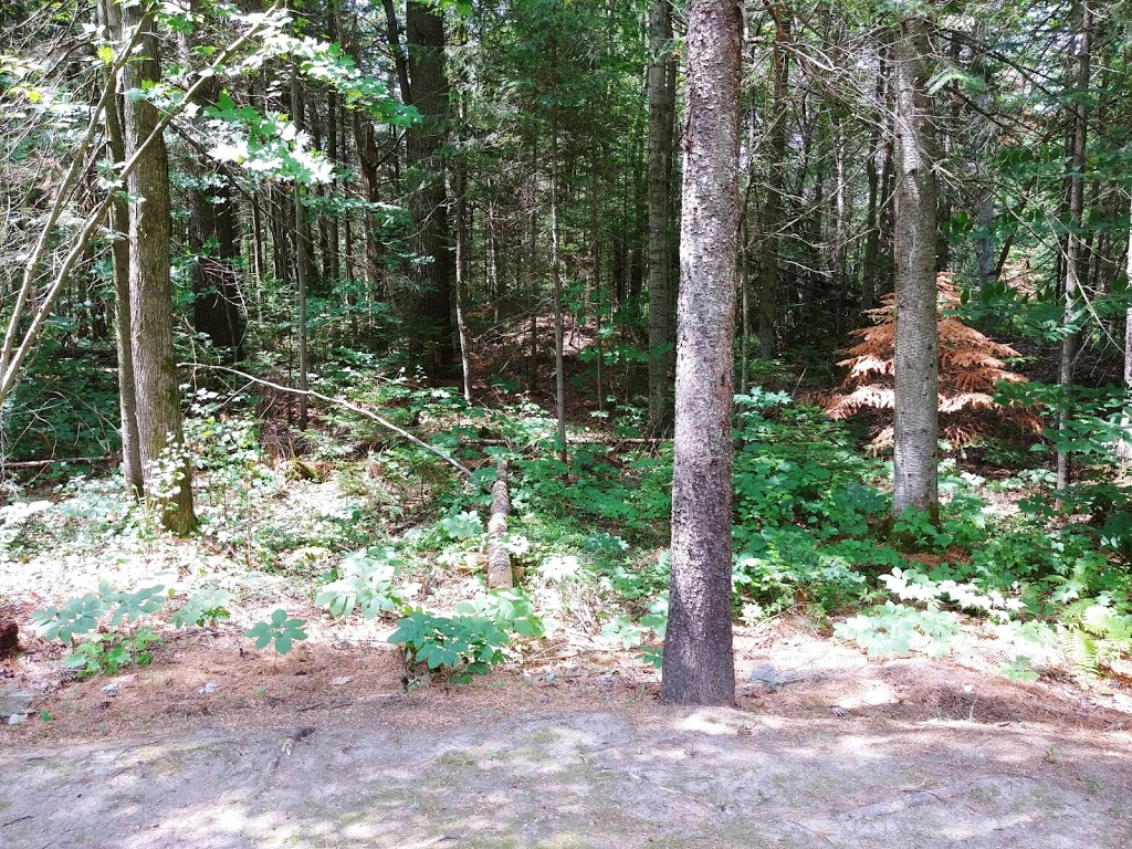 Chalet des Bens | 223-251 Rue du Domaine des Trois Lacs, Saint-Cuthbert, QC J0K 2C0, Canada | Phone: (514) 566-4310