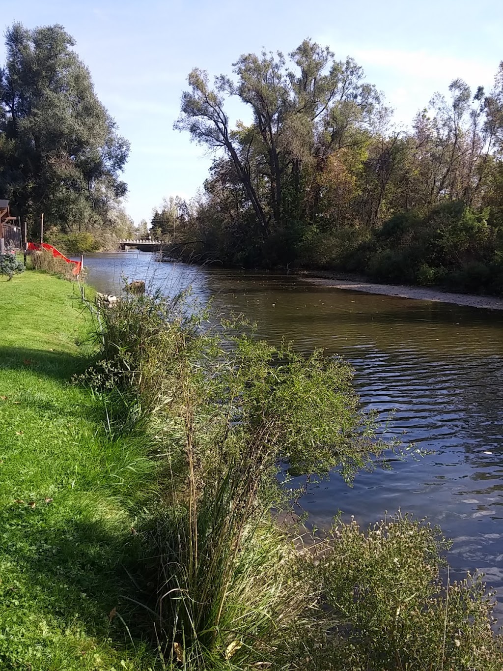 Meadowbrook Campground | 5348 Concession Rd 6, Alliston, ON L9R 1V3, Canada | Phone: (705) 435-4578