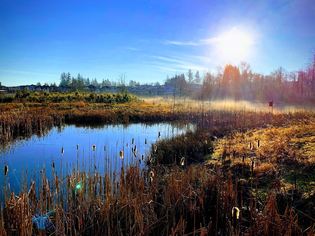 McLeod Park | 6306 140 St, Surrey, BC V3W 0E9, Canada | Phone: (604) 501-5050