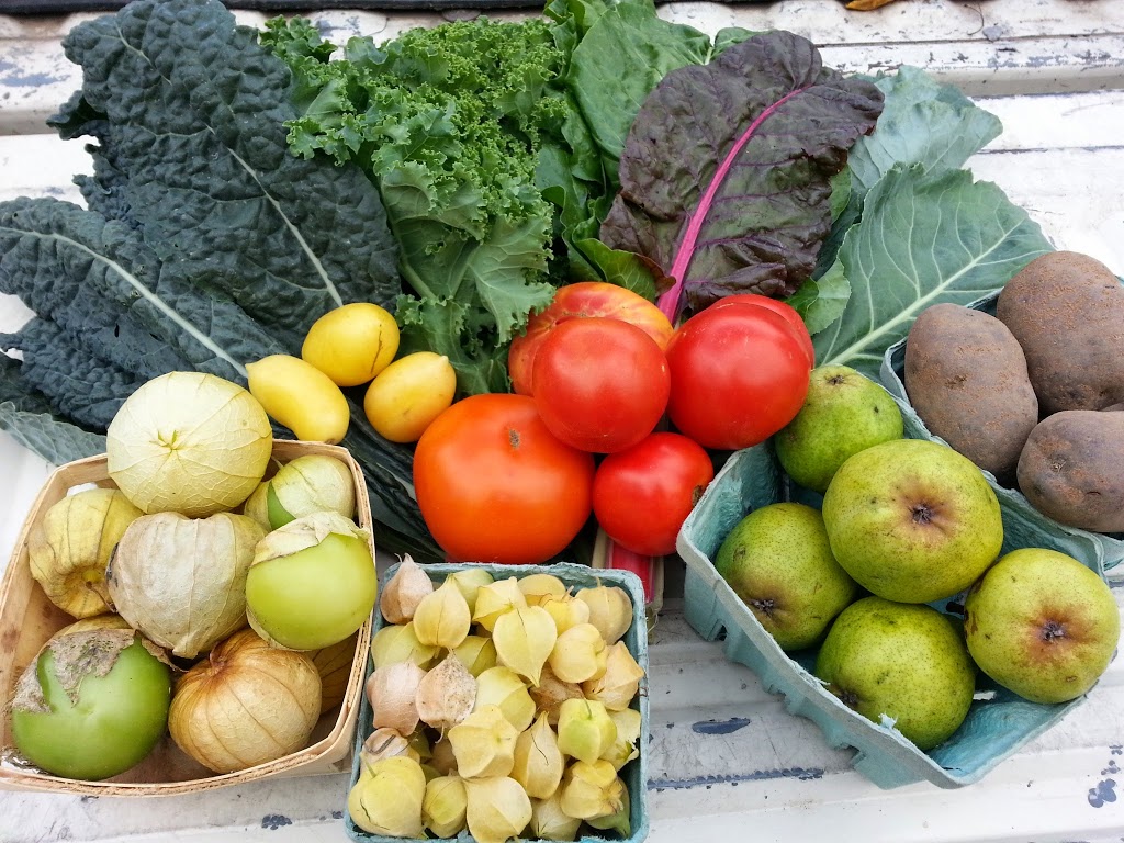 McCollum Orchards, LLC | 248 N Adam St, Lockport, NY 14094, USA | Phone: (716) 730-0703