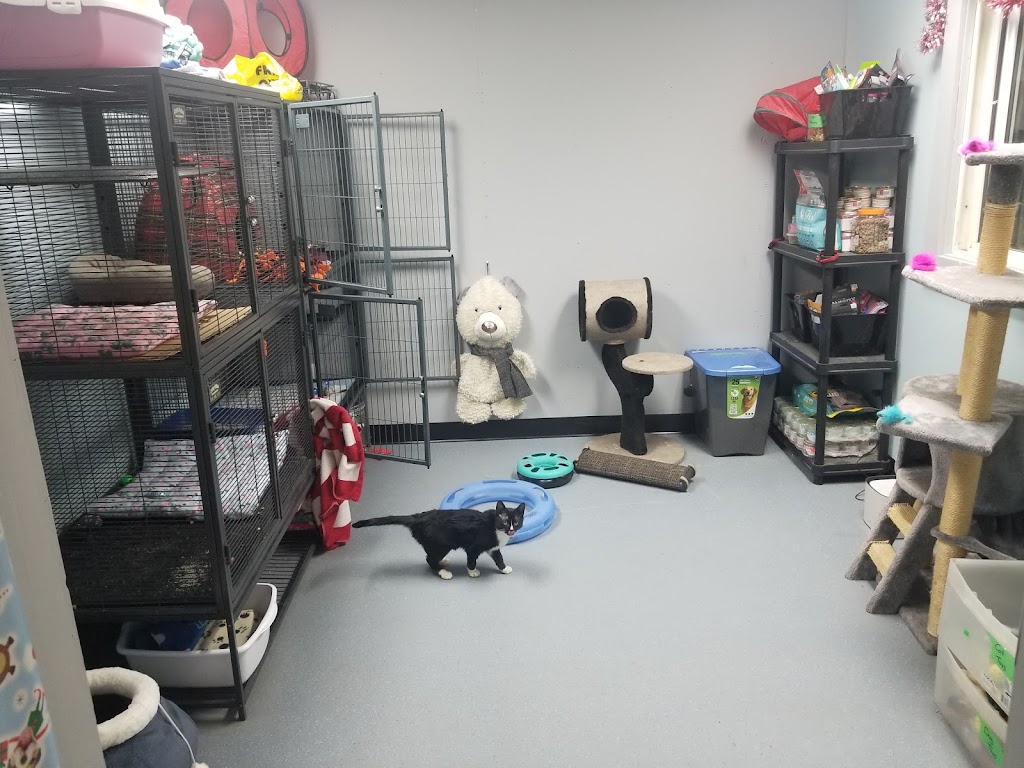 Enoch Animal Care and Control | 72 Ave, Alberta T7X 3Y3, Canada | Phone: (780) 470-6998