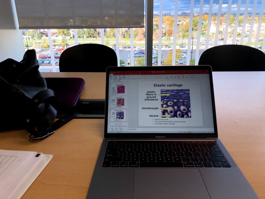 Learning Resource Commons | 205 Humber College Blvd, Etobicoke, ON M9W 5L7, Canada | Phone: (416) 675-3111