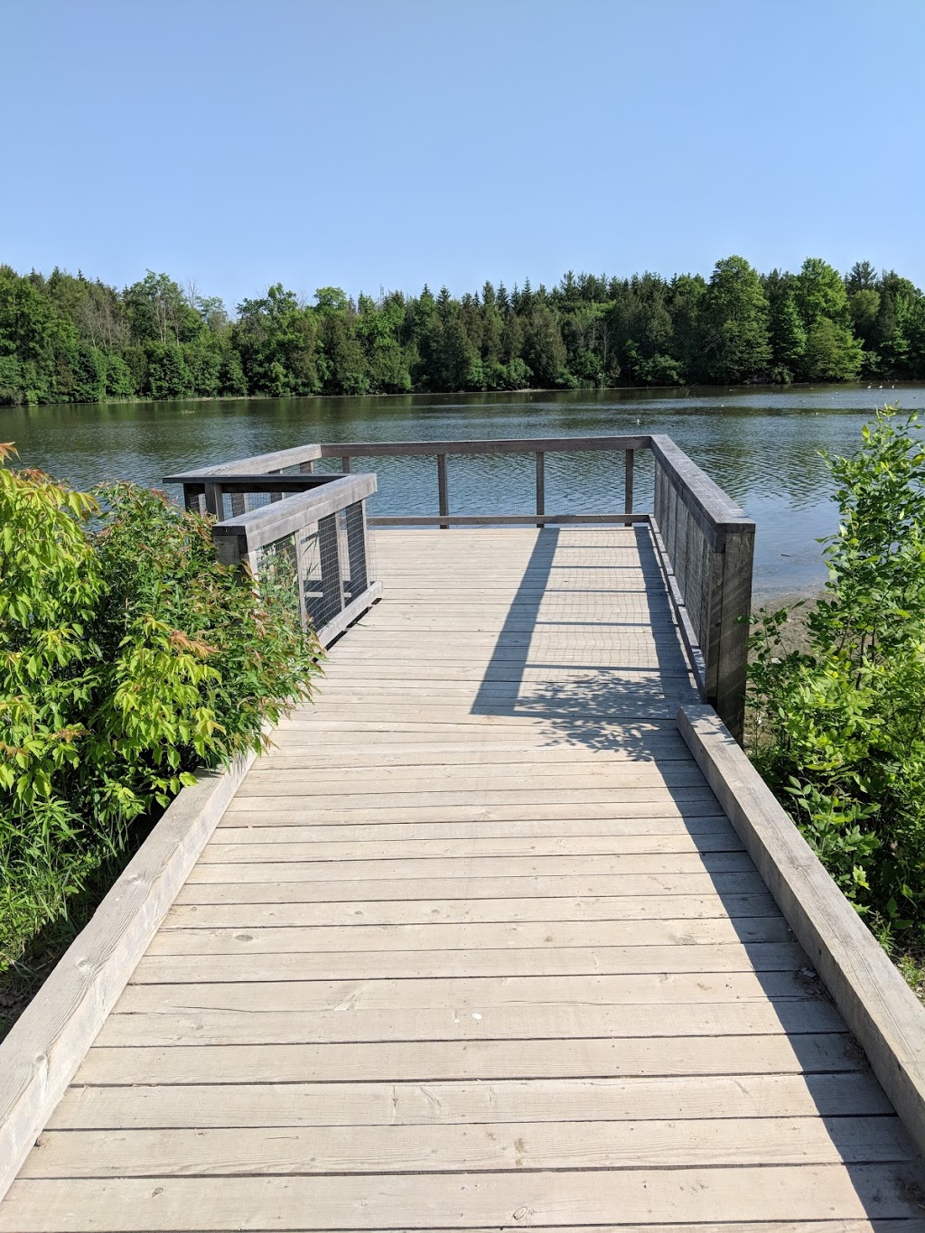 Milne Dam Conservation Park | 8251 McCowan Rd, Markham, ON L3P 3J3, Canada | Phone: (905) 477-5530