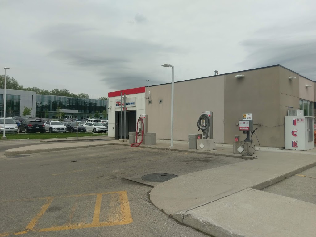 Neighbours Coffee | 491 Oxford St W, London, ON N6H 5G5, Canada
