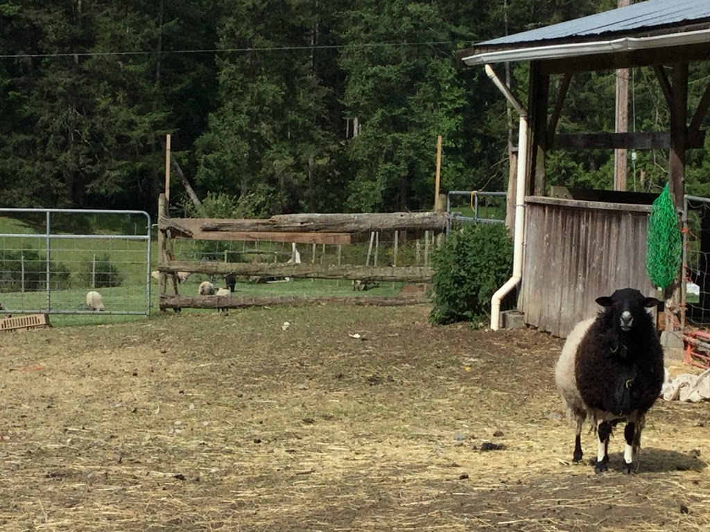 North End Farm | 2521 N End Rd, Salt Spring Island, BC V8K 1A5, Canada | Phone: (250) 537-4442