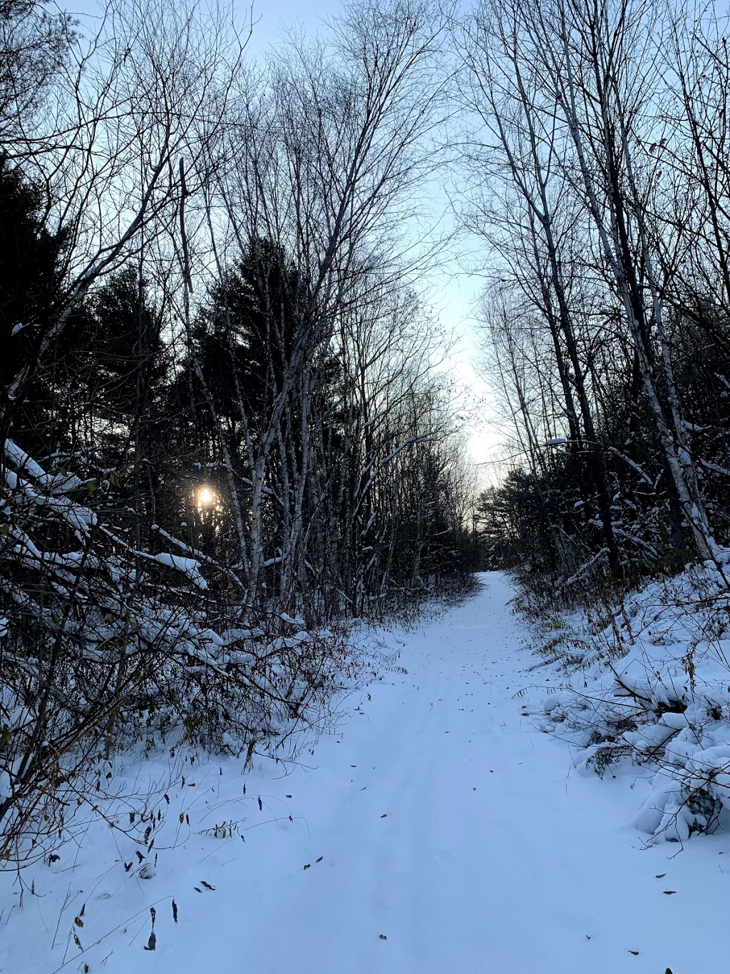 Crows Pass Conservation Area | 231 Middle March Rd, Port Perry, ON L9L 2A9, Canada | Phone: (905) 579-0411