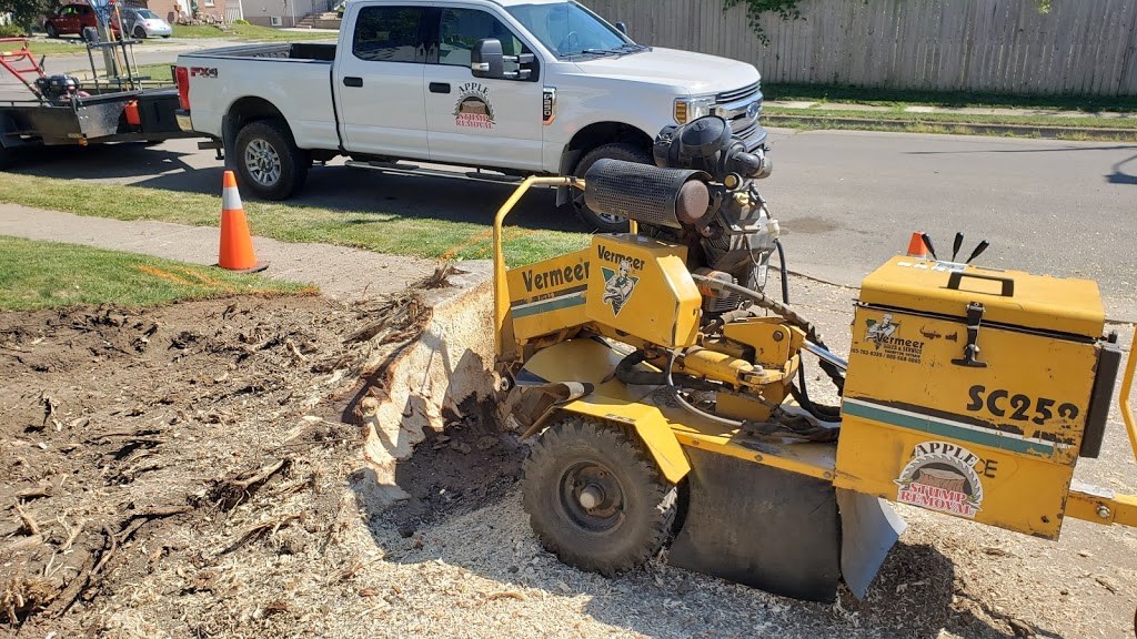 Apple Stump Removal | 1900 Garrison Rd, Fort Erie, ON L2A 5M4, Canada | Phone: (905) 327-6666