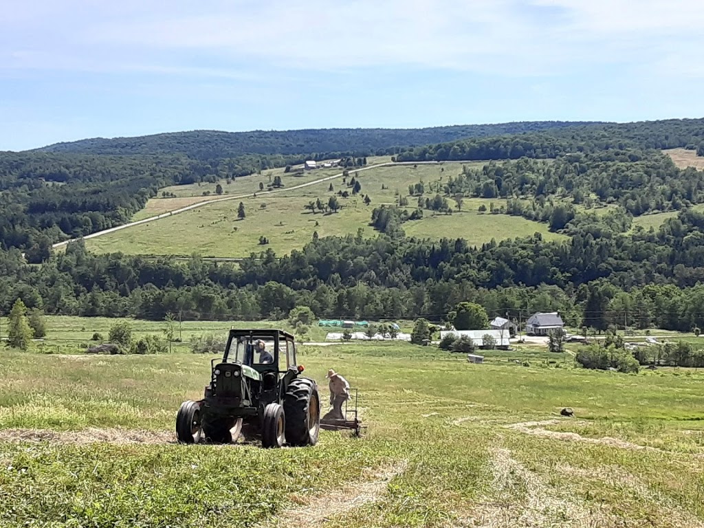 Ferme LIdéel | 1610 Rang Allaire, Sainte-Hélène-de-Chester, QC G0P 1H0, Canada | Phone: (819) 382-2773