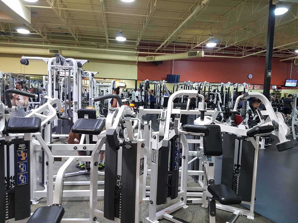 GoodLife Fitness Calgary Richmond Square | 50-3915 51 St SW, Calgary, AB T3E 6N1, Canada | Phone: (403) 286-3481