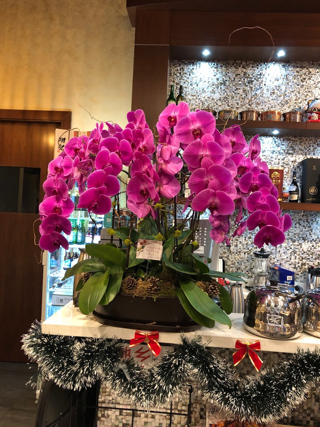 Paradise Garden | 560 Kingsway, Vancouver, BC V5T 3J9, Canada | Phone: (604) 434-1628