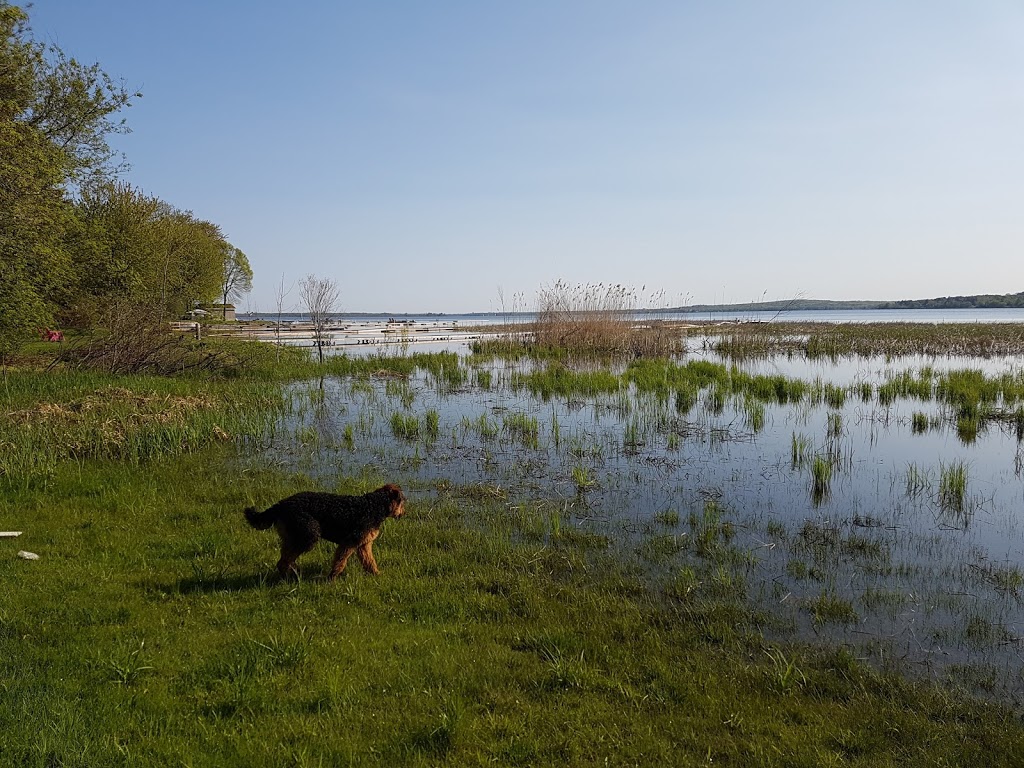 Richards Beach | 72-138 Maskinonge Rd, Victoria Harbour, ON L0K 2A0, Canada