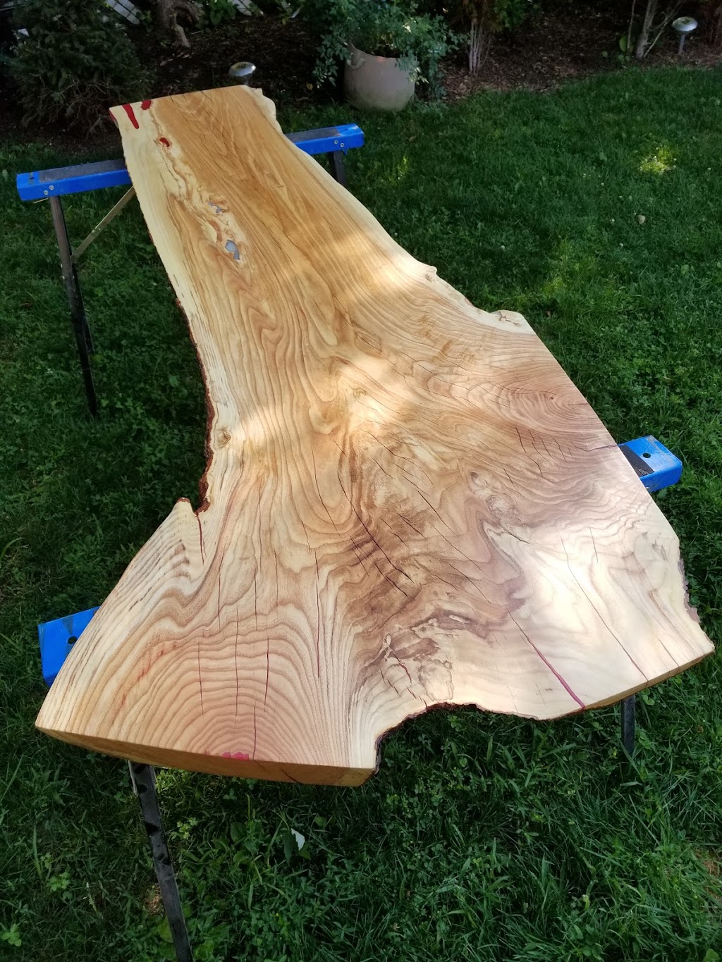 Bonaldos Boards | Goldie Ave, Guelph, ON N1H 6A3, Canada | Phone: (519) 362-0380