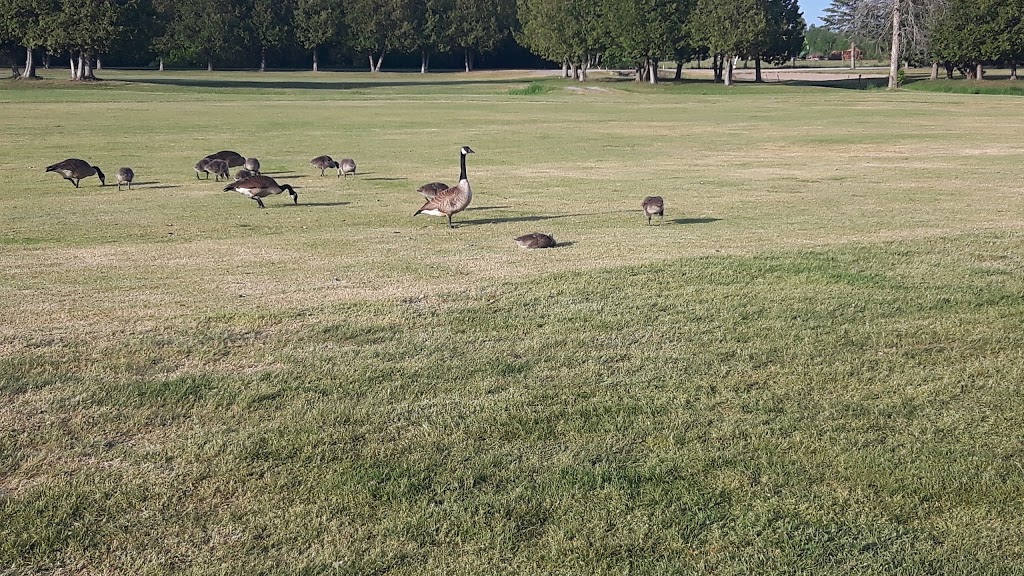 Stittsville Golf Course | 7967 Fernbank Rd, Ashton, ON K0A 1B0, Canada | Phone: (613) 257-5181