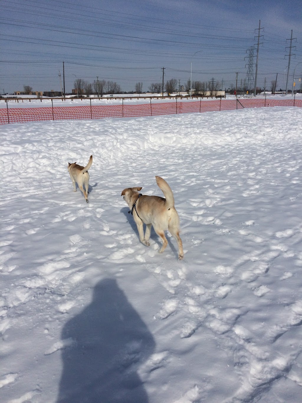 Brenda Leipsic Temporary Park | Parker, Winnipeg, MB R3T, Canada