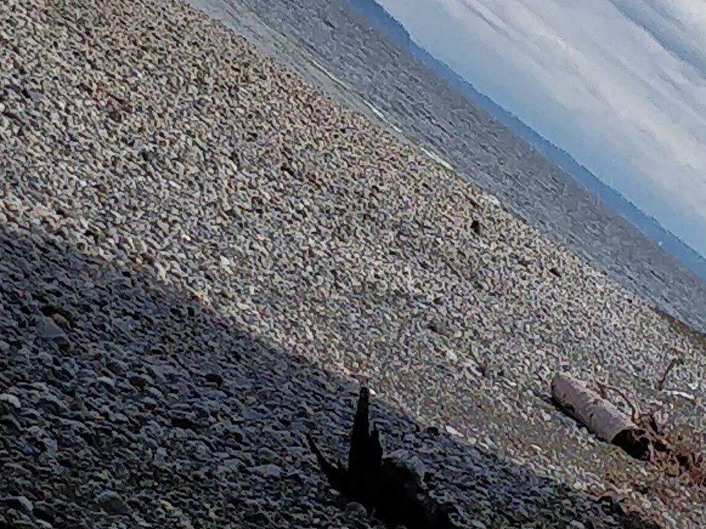 Beach Access Trail | Point Roberts, WA 98281, USA