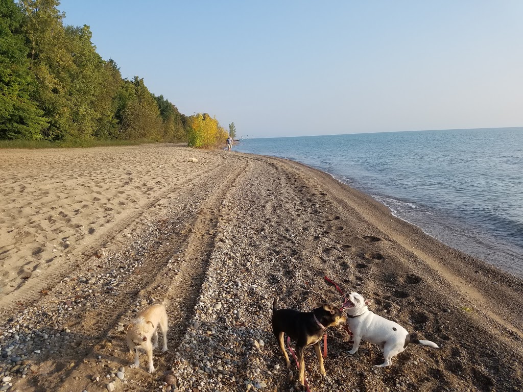 Lakeport State Park | 7605 Lakeshore Rd, Lakeport, MI 48059, USA | Phone: (810) 327-6224