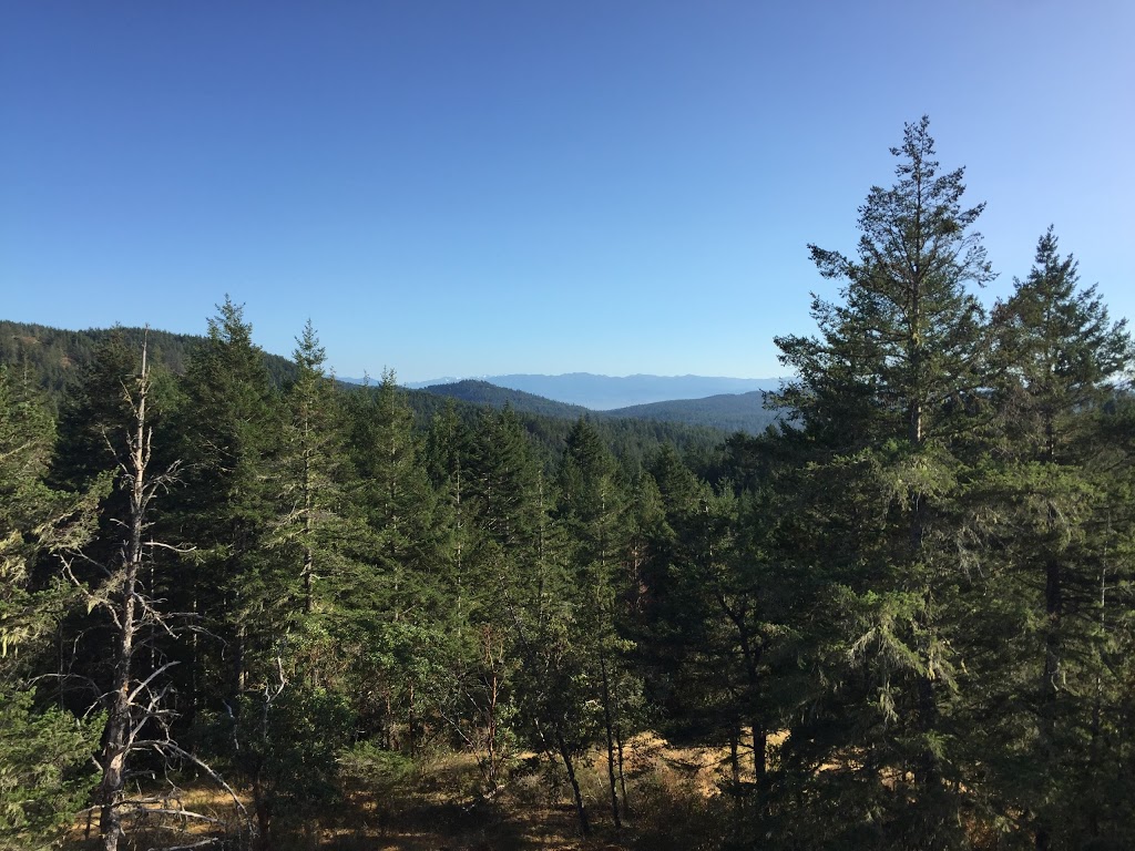 Adrena LINE Zipline Adventure Tours | 5128C Sooke Rd, Sooke, BC V9Z 0E2, Canada | Phone: (250) 642-1933