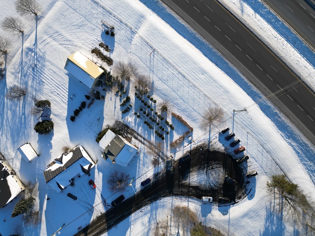 Ness Christmas Trees | 71 Main St, Sussex, NB E4E 1S8, Canada | Phone: (506) 432-1456