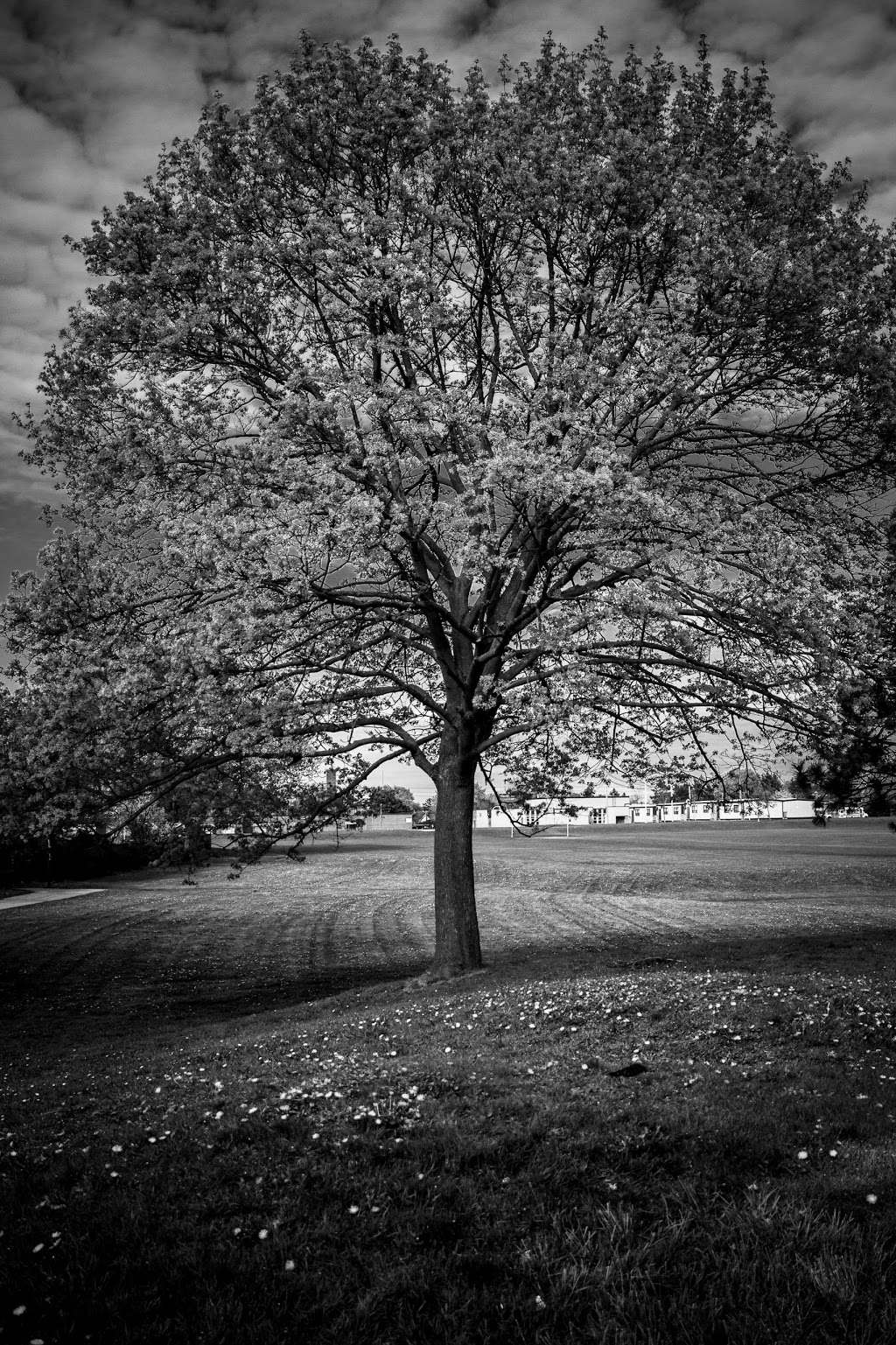 Cherry Hill Park | Mississauga, ON L4Y, Canada