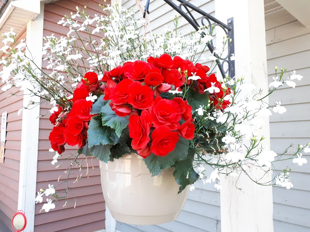 La Maison Familiale De Coaticook | 136 Rue Main O, Coaticook, QC J1A 0A6, Canada | Phone: (819) 849-3444