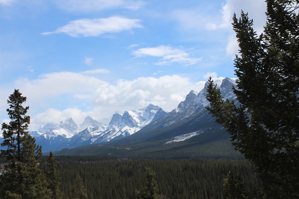 Purcell Physiotherapy Clinic | 260 4 Ave, Kimberley, BC V1A 2R6, Canada | Phone: (250) 520-0344