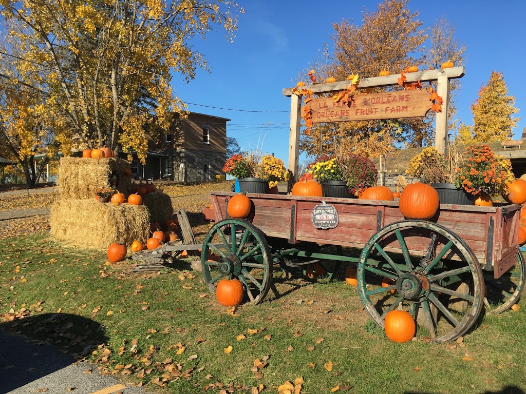 Orleans Fruit Farm Ottawa, ON K1C 7K9, Canada