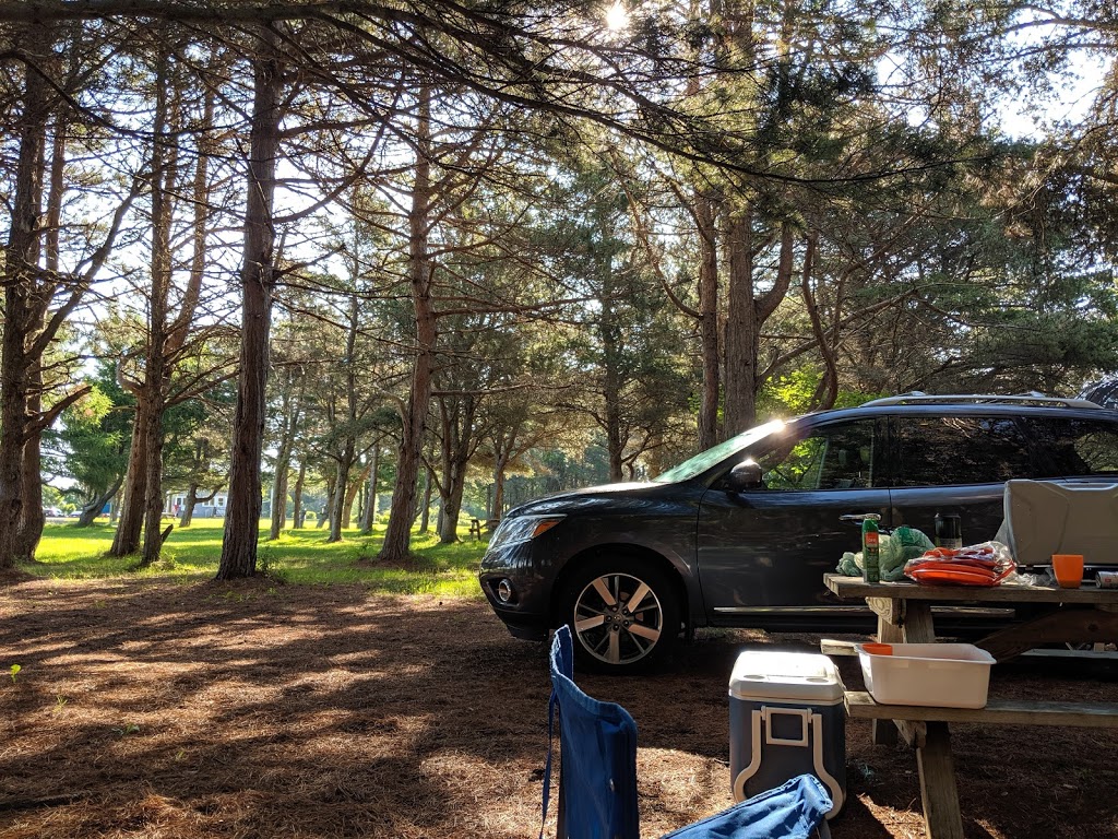 Murray Beach Provincial Park Campground | 1680 NB-955, Botsford Parish, NB E4M 3J7, Canada | Phone: (506) 538-2628