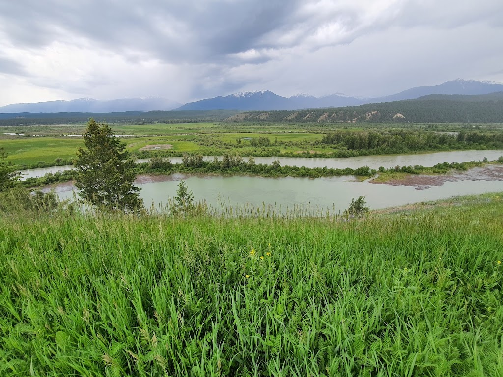 Springs Course - Radium Golf Group | 4714 Springs Dr #310, Radium Hot Springs, BC V0A 1M0, Canada | Phone: (250) 347-6200