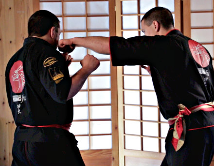Casselman Arts Martiaux Kung-Fu Patenaude | 1196 Baker Rd, Casselman, ON K0A 1M0, Canada | Phone: (613) 761-2701