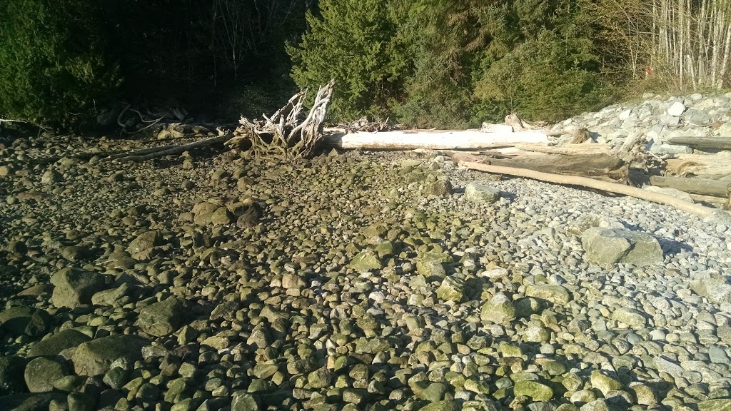 Furry Creek Dive Site | store | Beach Dr, Squamish-Lillooet D, BC, Canada