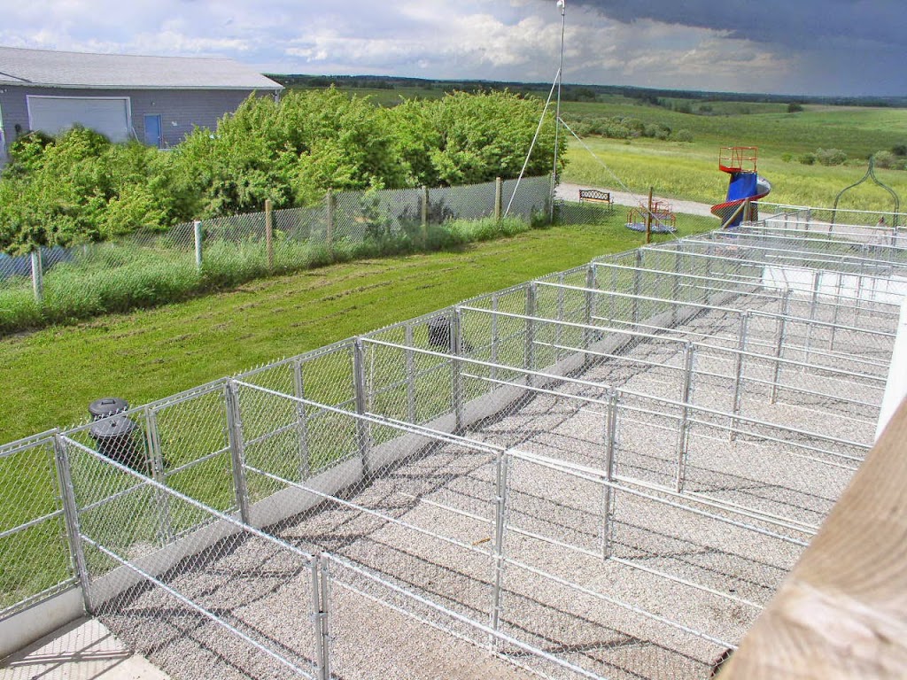 Beinnein Kennels Ltd | 85067 169th Ave W, Priddis, AB T1S 0Z8, Canada | Phone: (403) 931-3110