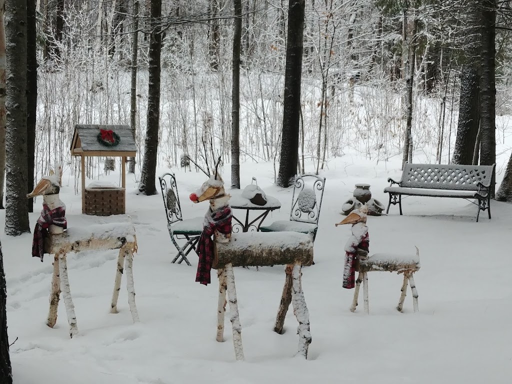 Suite in the Bush | 373 Old LAmable Rd, Bancroft, ON K0L 1C0, Canada | Phone: (613) 334-8671