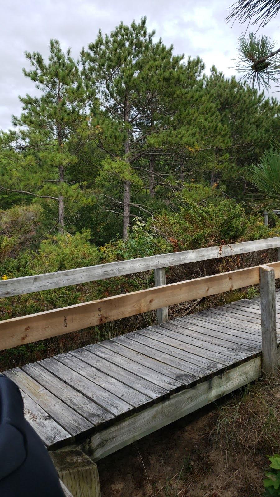 Wilderness Trail | 26 Sideroad, Grand Bend, ON N0M 1T0, Canada