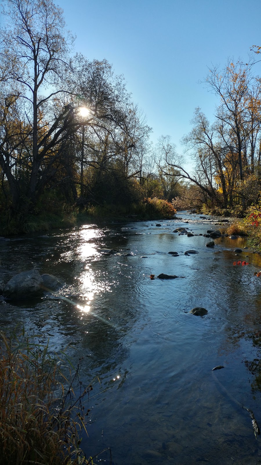 Bowmanville dam | 45 Raynes Ave, Bowmanville, ON L1C 1J3, Canada