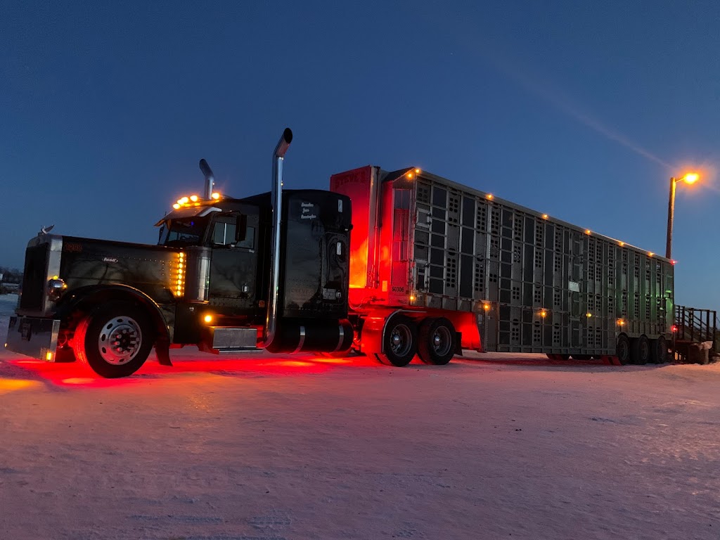 Steves Livestock Transport | 214 Center Ave, Blumenort, MB R0A 0C0, Canada | Phone: (204) 326-6380