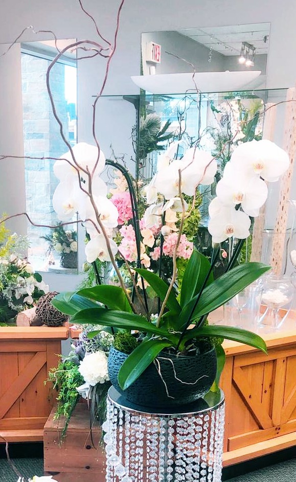 Oakville Florist Shop | 511 Maple Grove Dr #26, Oakville, ON L6J 4W3, Canada | Phone: (905) 849-8885