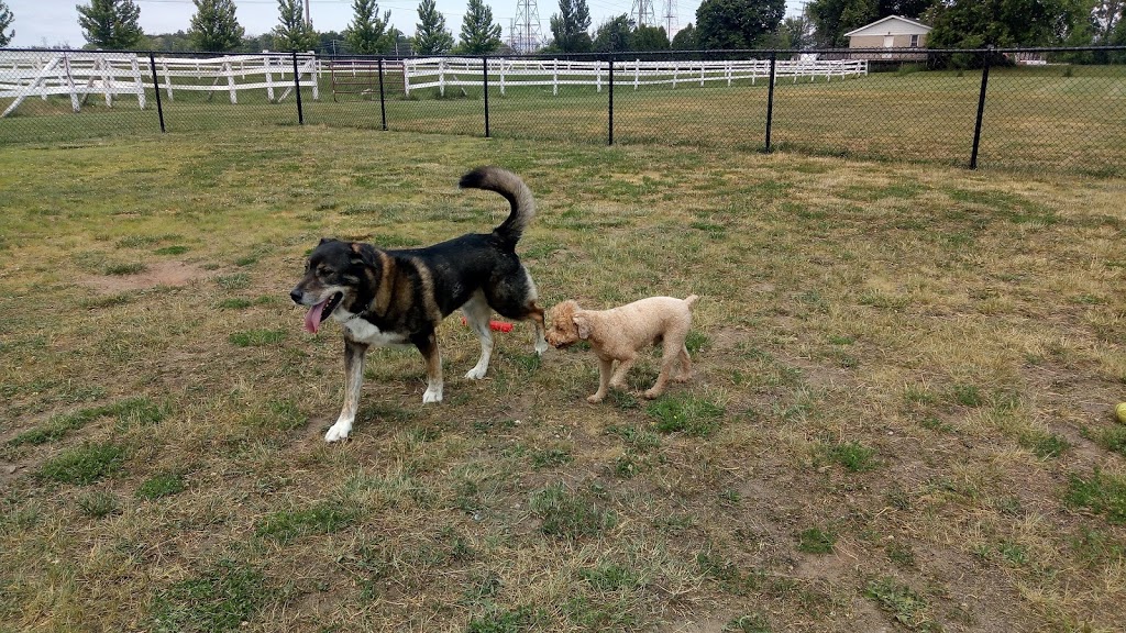 Meadowview Pet Resort | 1970 Polloway Rd, Niagara Falls, ON L2E 6S5, Canada | Phone: (905) 680-1258