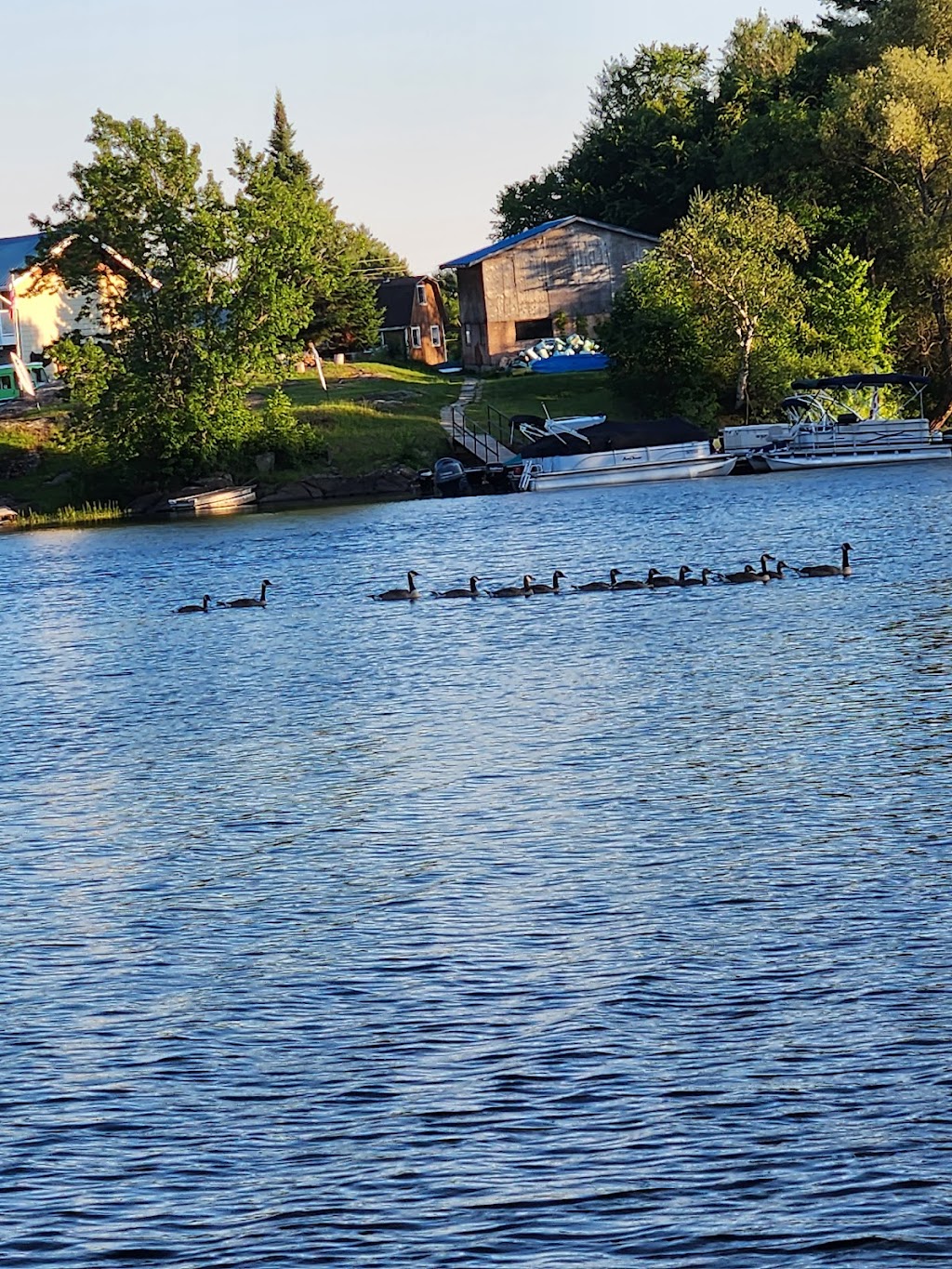 Whitestone Marina Inc. | 11 Marina Dr, Dunchurch, ON P0A 1G0, Canada | Phone: (705) 389-9900